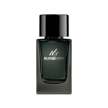AGUA PERFUME BURBERRYx100ml MR BURBERRY