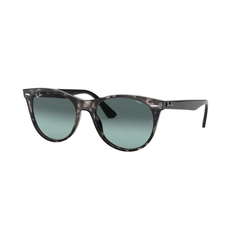 GAFAS RAY BANxund ORB2185 1250AD S:55